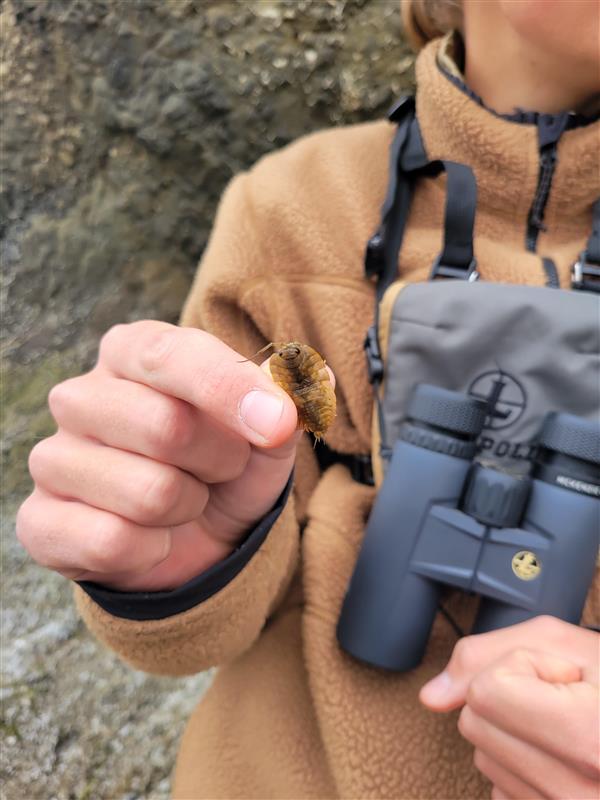 Student looks at marine organism